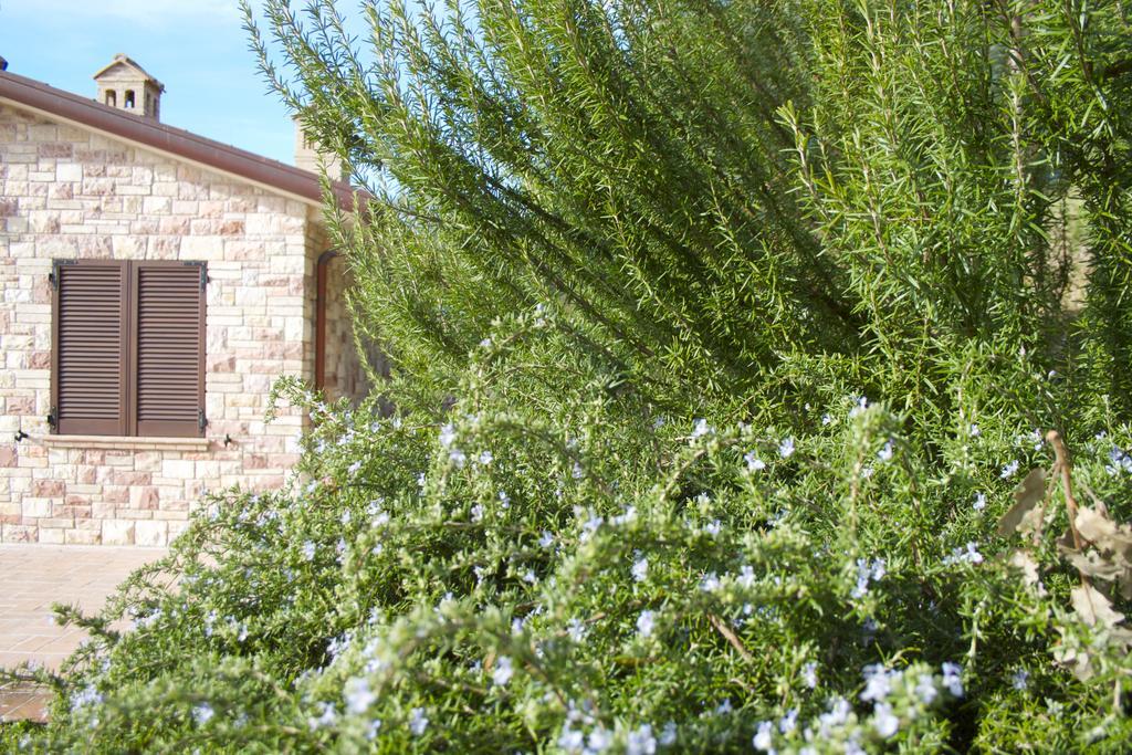 B&B Lavanda E Rosmarino Asís Exterior foto