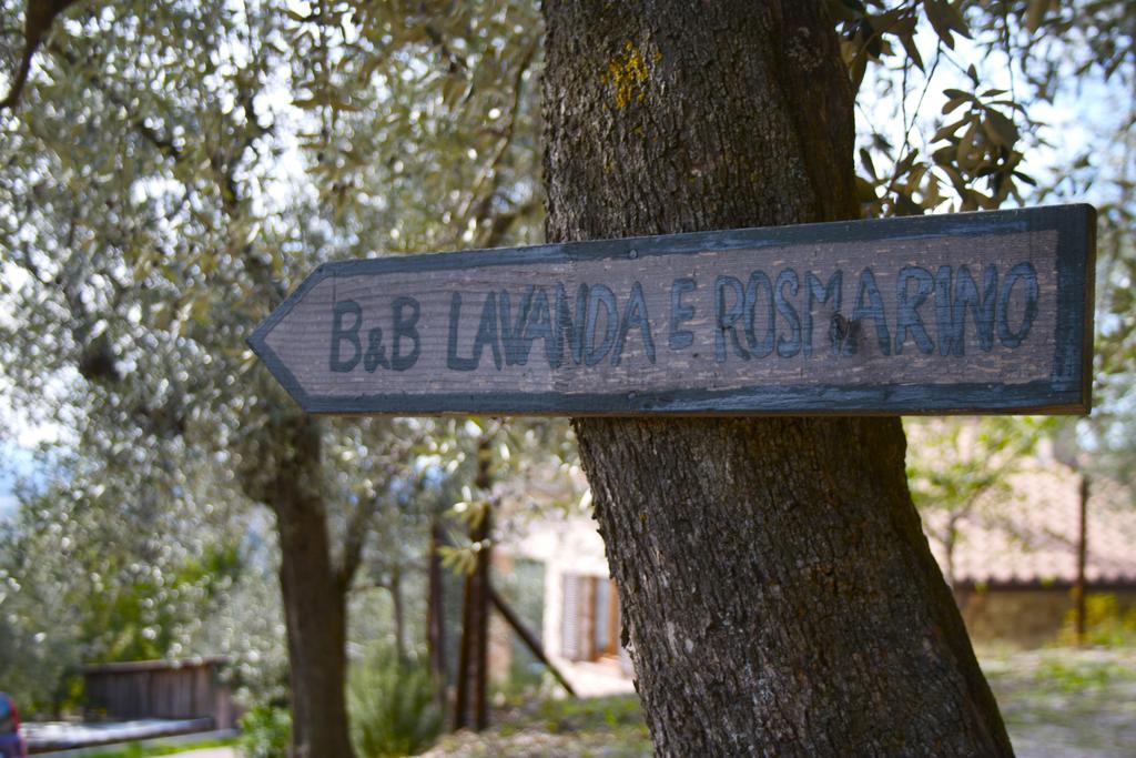 B&B Lavanda E Rosmarino Asís Exterior foto